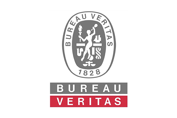 رافعة شوكية معتمدة من BV، رافعة شوكية ثقيلة، رافعة شوكية قابلة للتمديد، رافعة تفريغ حاويات، مورد صيني